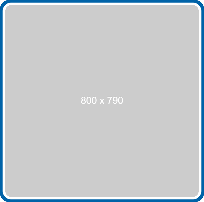 Senior Pet Care_sec4_img