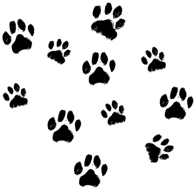 Paw_Print-2-Img-Text-Animation.png