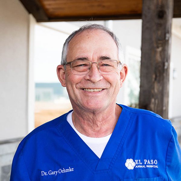 Home Vet in Derby El Paso Animal Hospital