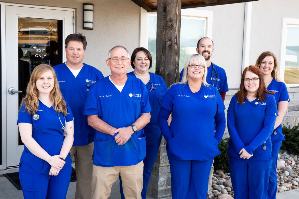 Veterinarian in Derby Vet Near You El Paso Animal Hospital