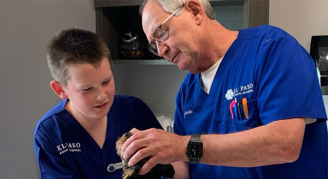 Prepare for your visit New Vet in Derby El Paso Animal Hospital